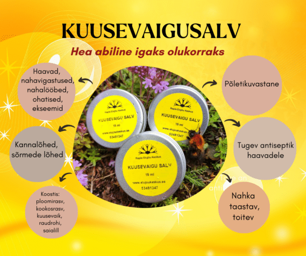 Kuusevaigu salv