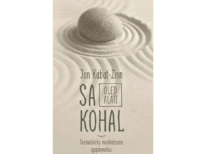 Sa oled alati kohal. Teadveloleku meditatsioon igapäveaelus