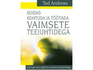 Kuidas kohtuda ja töötada vaimsete teejuhtidega