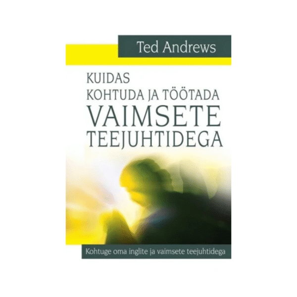 Kuidas kohtuda ja töötada vaimsete teejuhtidega