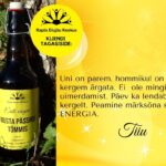 Musta pässiku tagasiside