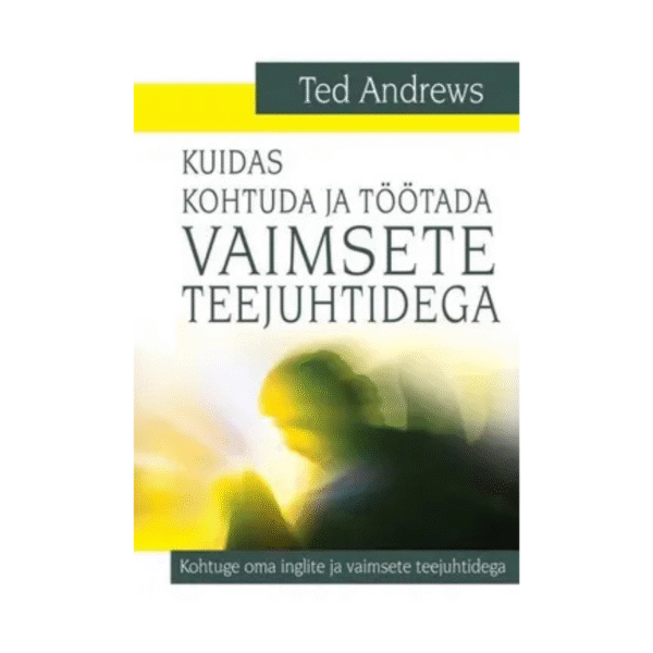 Kuidas kohtuda ja töötada vaimsete teejuhtidega