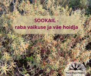 Sookail - peadpööritav imetaim