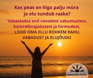 Kui peas on liiga palju müra