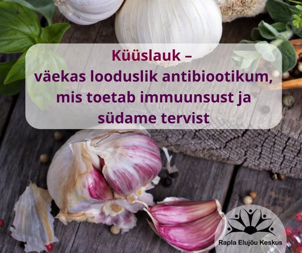 Küüslauk - antibiootikum