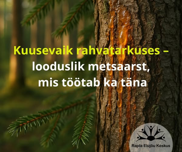 Kuusevaik rahvatarkuses