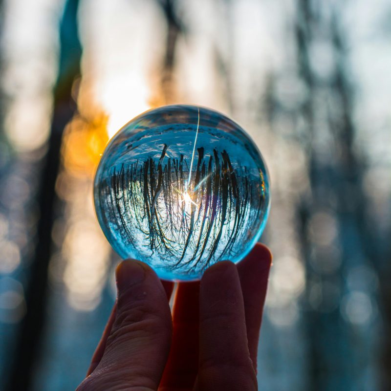 A hand holds a crystal ball reflecting a forest at sunset, showcasing a magical and reflective nature scene.