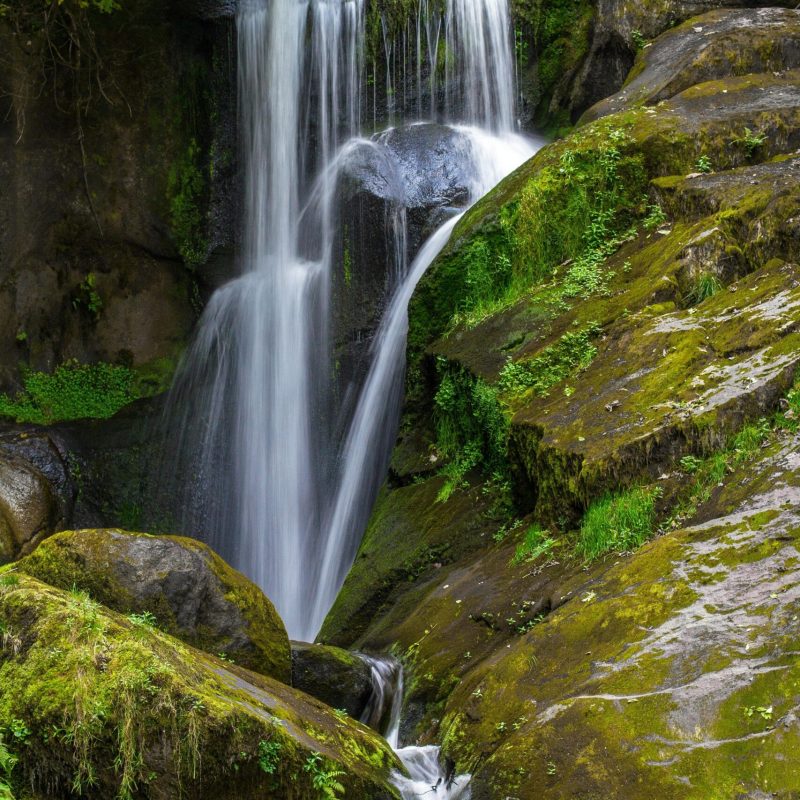 A tranquil waterfall cascading over moss-covered rocks in a verdant forest setting.